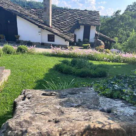Alloggio per agriturismo Agriturismo Hidden Paradise