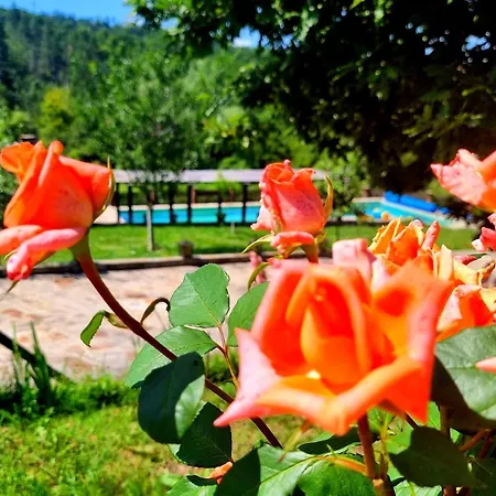 Agriturismo Hidden Paradise Alloggio per agriturismo *