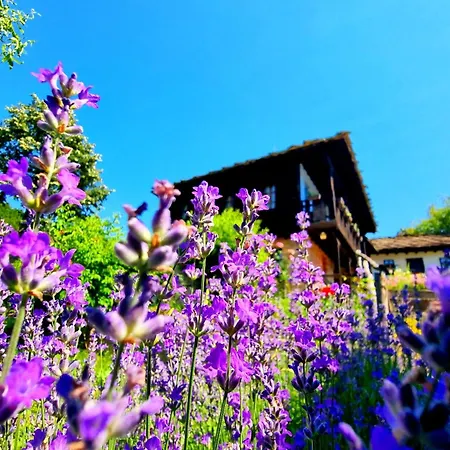 مزرعة للإقامة Agriturismo Hidden Paradise تريفنا