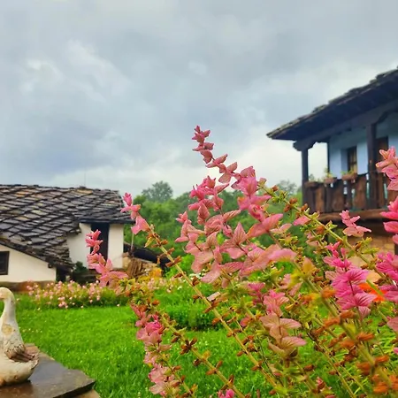 Agriturismo Hidden Paradise Lantgård Trjavna