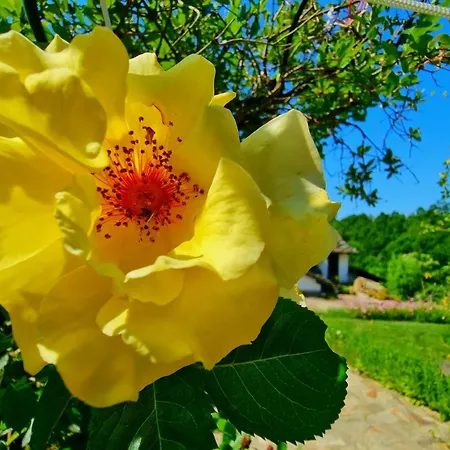 Agriturismo Hidden Paradise مزرعة للإقامة *