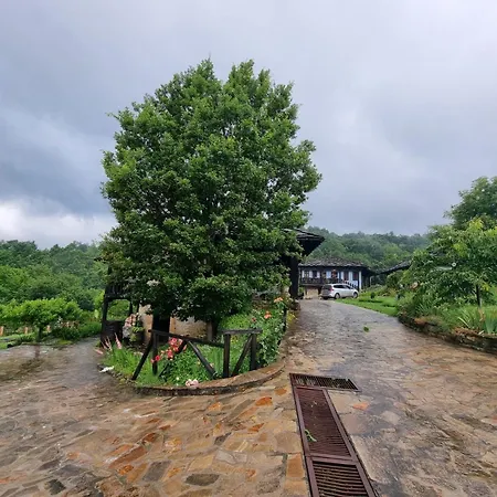 Agriturismo Hidden Paradise تريفنا