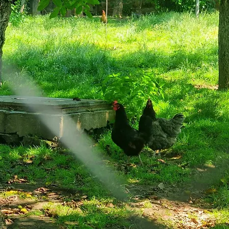 Agriturismo Hidden Paradise * تريفنا