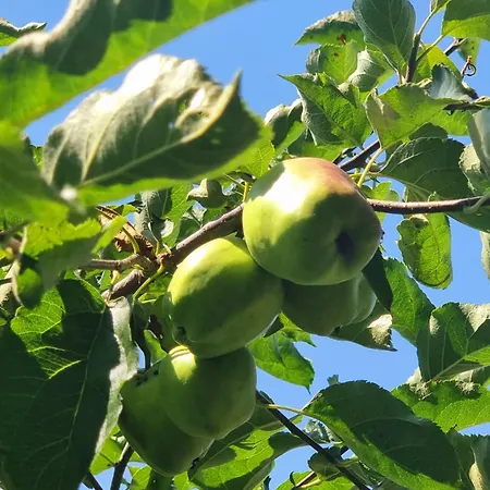 مزرعة للإقامة Agriturismo Hidden Paradise *