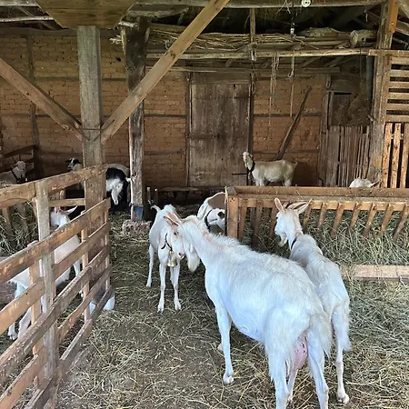 Vakantieboerderij Agriturismo Hidden Paradise *