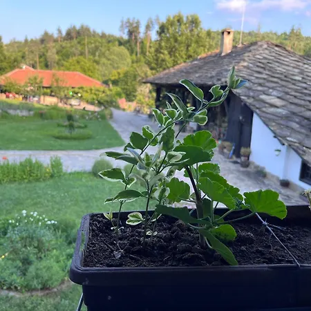 Vakantieboerderij Agriturismo Hidden Paradise *